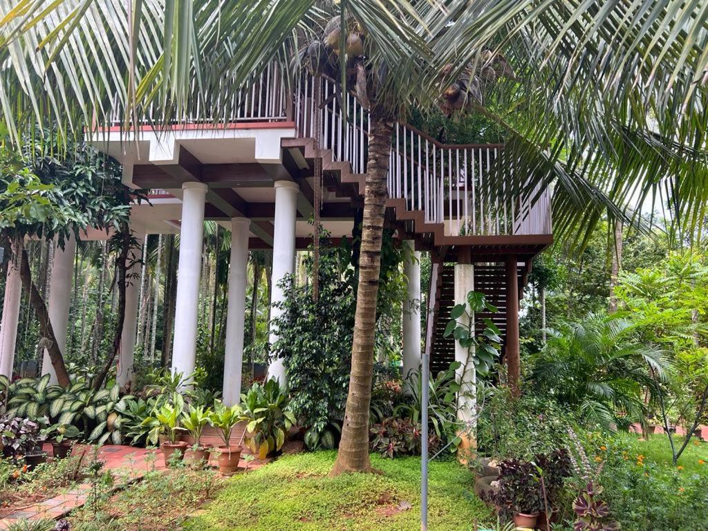 Serenity Villa And Treehouse Palakkad Eksteriør bilde