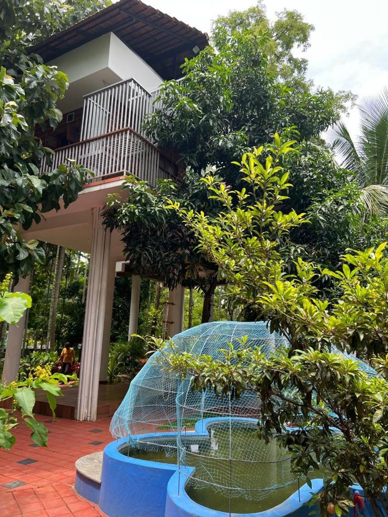 Serenity Villa And Treehouse Palakkad Eksteriør bilde